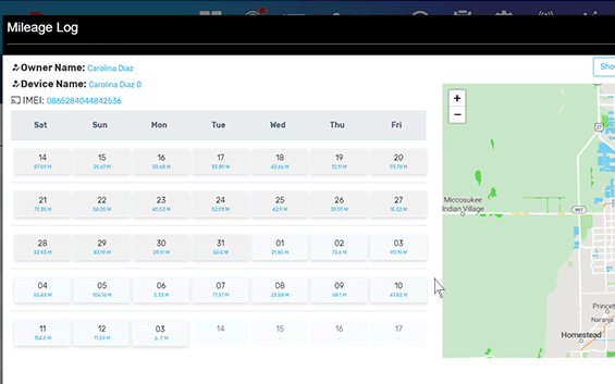 Detailed Mileage Logs